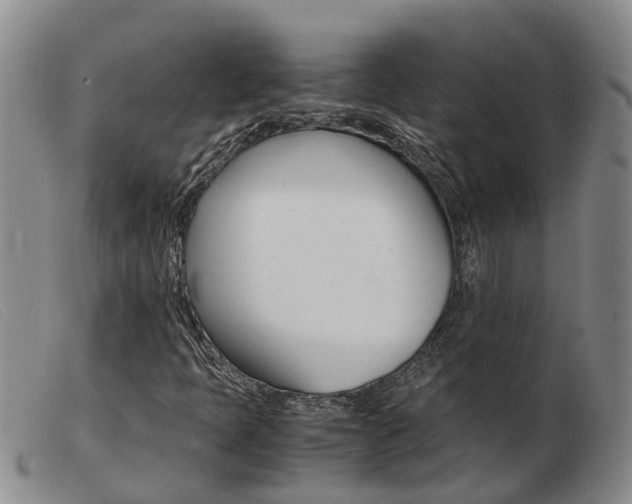 X0000103941397200809191136