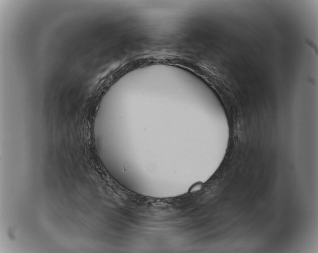 X0000103941398200809191136
