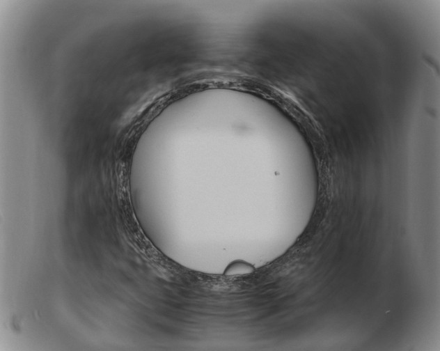 X0000103941399200809191136