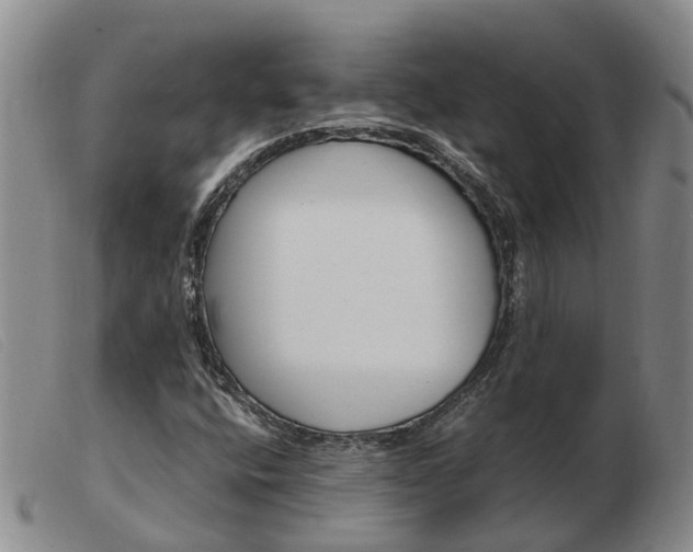 X0000103941400200809191136