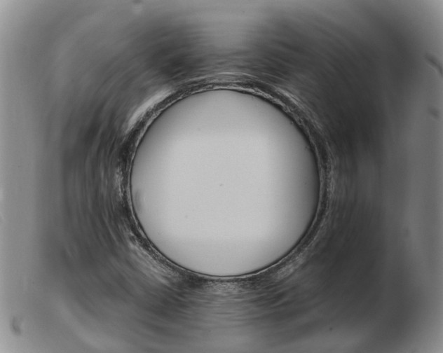 X0000103941402200809191136