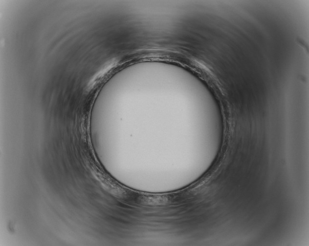 X0000103941403200809191136