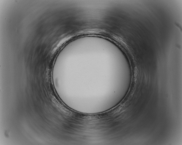 X0000103941404200809191136