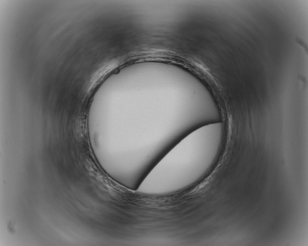 X0000103941405200809191136
