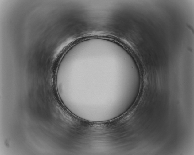 X0000103941406200809191136