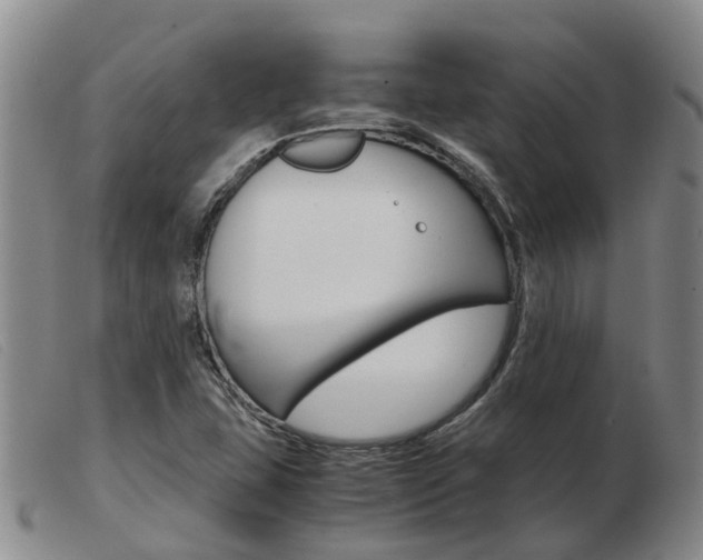 X0000103941407200809191136