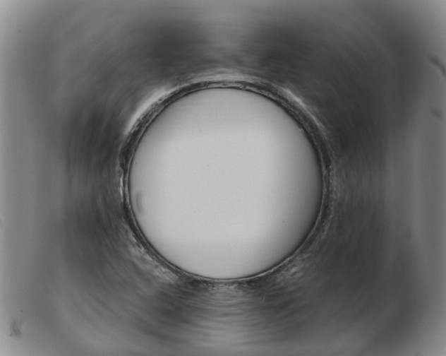 X0000103941408200809191136