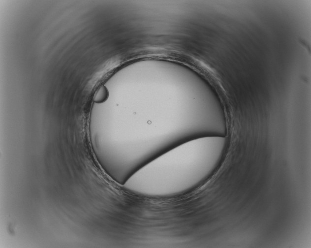 X0000103941411200809191137