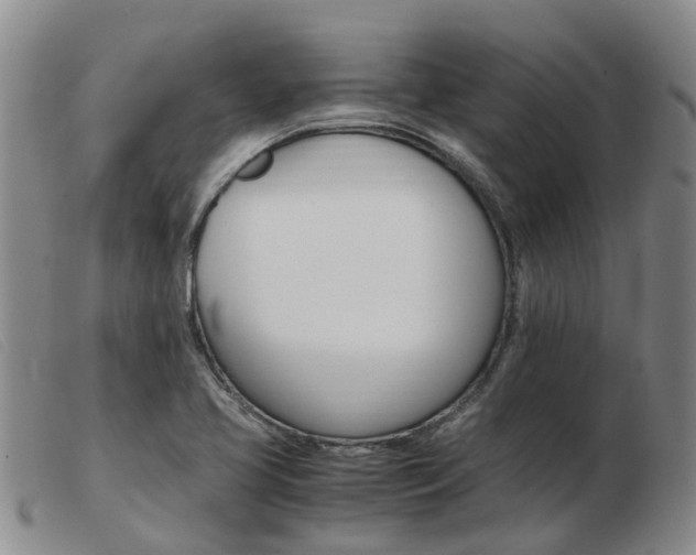 X0000103941413200809191137