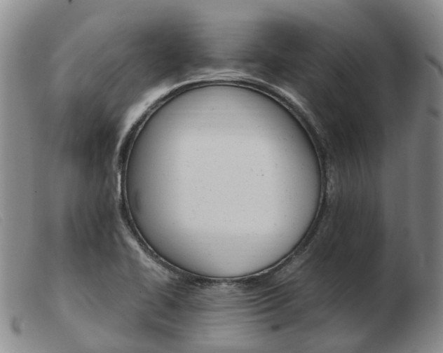 X0000103941414200809191137