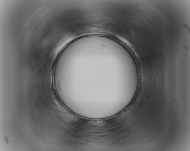 X0000103941415200809191137