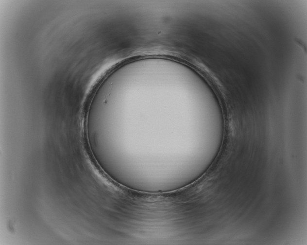 X0000103941416200809191137