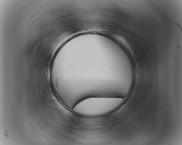 X0000103941420200809191137