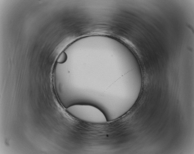 X0000103941423200809191137