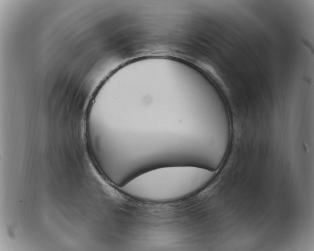 X0000103941424200809191137