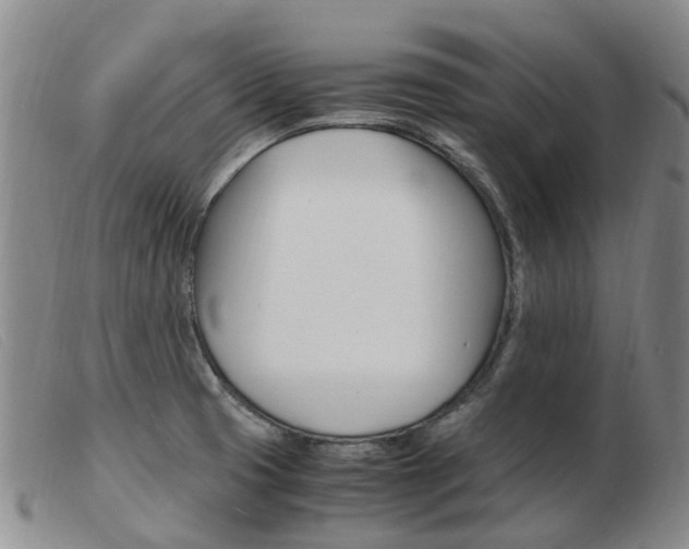 X0000103941425200809191137