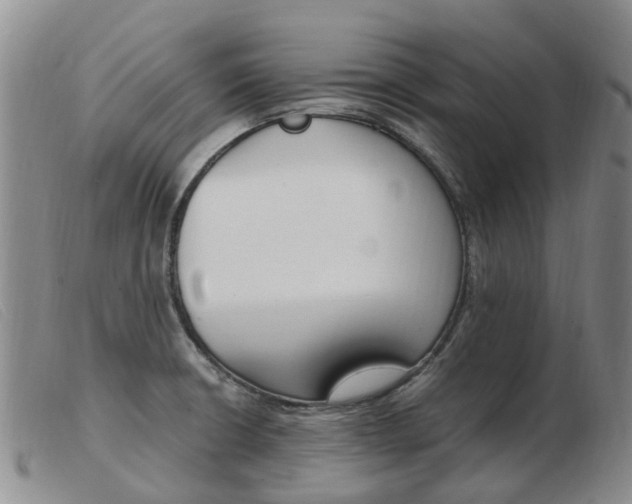 X0000103941426200809191137