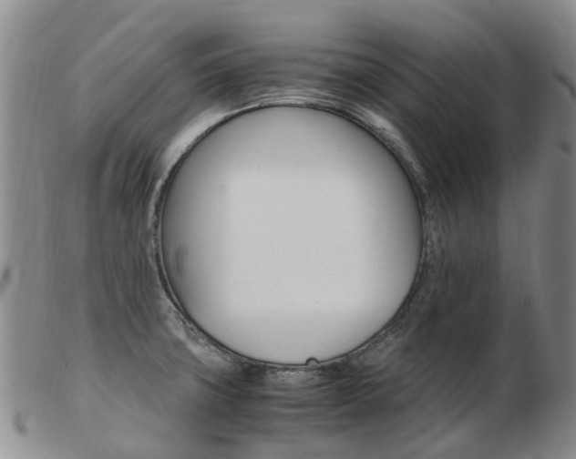 X0000103941427200809191137