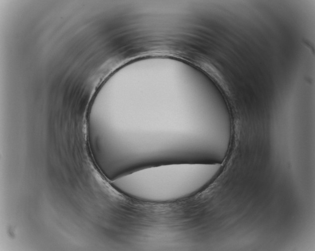 X0000103941428200809191137