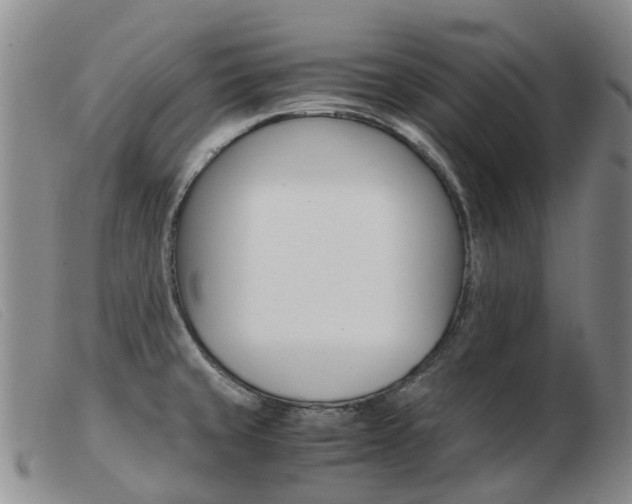 X0000103941429200809191137