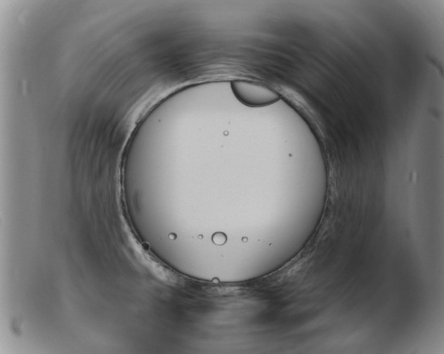 X0000103941431200809191137