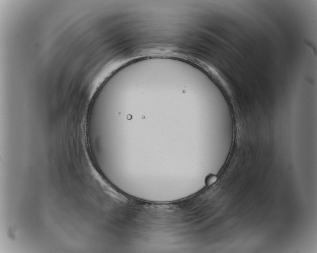 X0000103941432200809191137