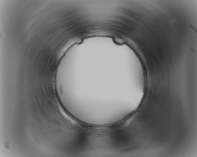 X0000103941433200809191137