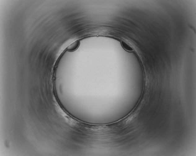 X0000103941434200809191137