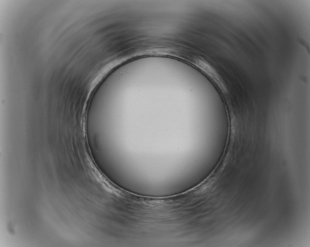 X0000103941436200809191137