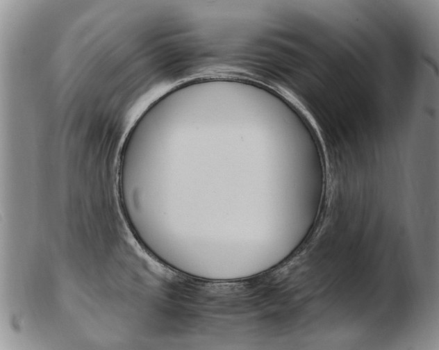 X0000103941437200809191137