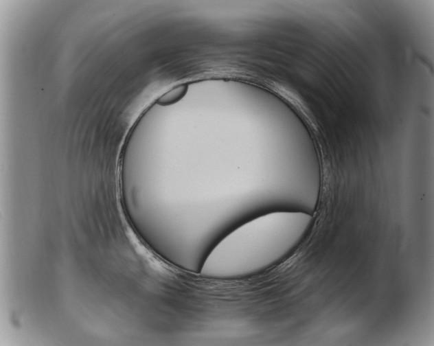 X0000103941439200809191137