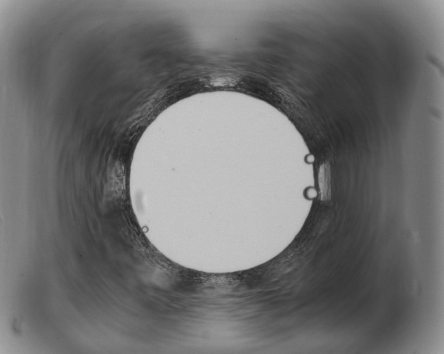 X0000103941443200809191136
