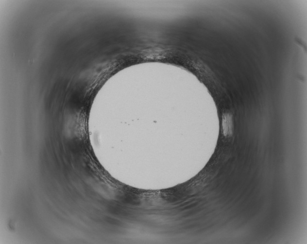 X0000103941444200809191136