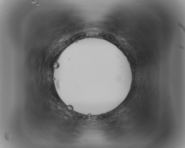 X0000103941445200809191136