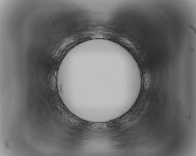 X0000103941446200809191136