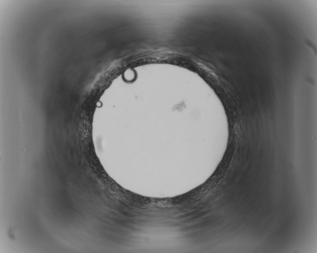 X0000103941447200809191136