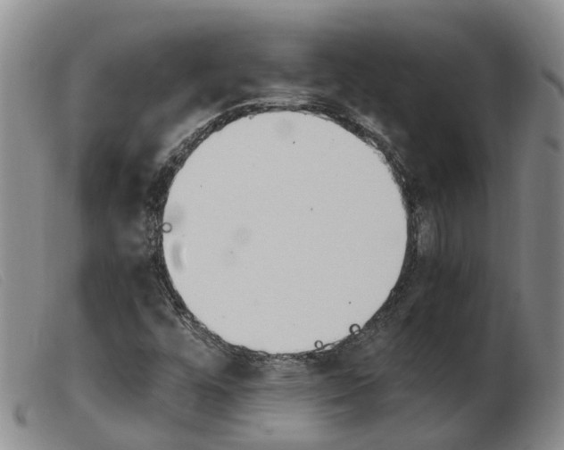 X0000103941448200809191136