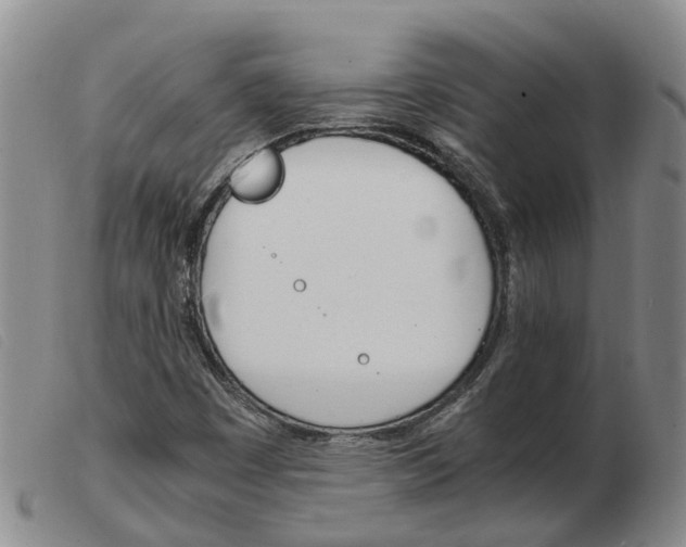 X0000103941449200809191136