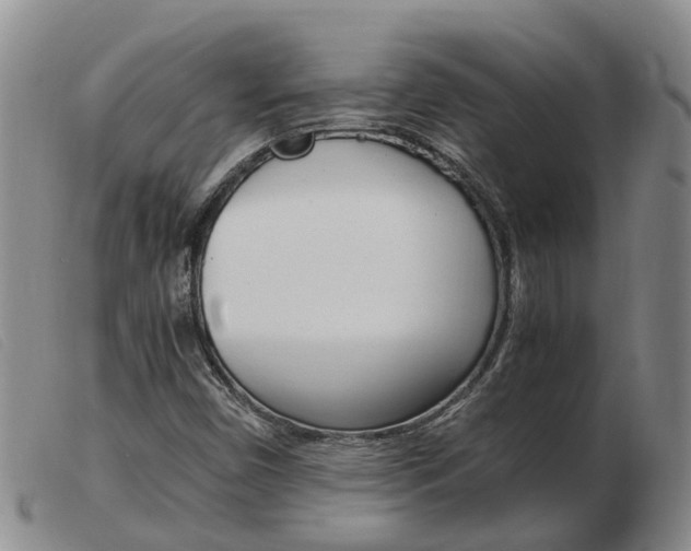 X0000103941450200809191136