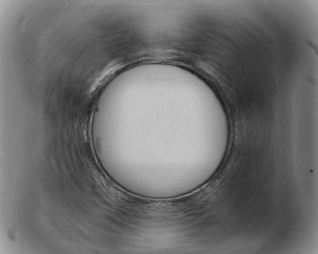 X0000103941451200809191136