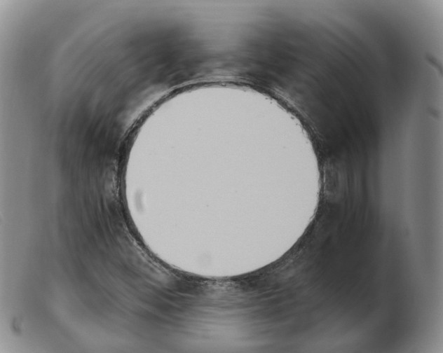 X0000103941452200809191136