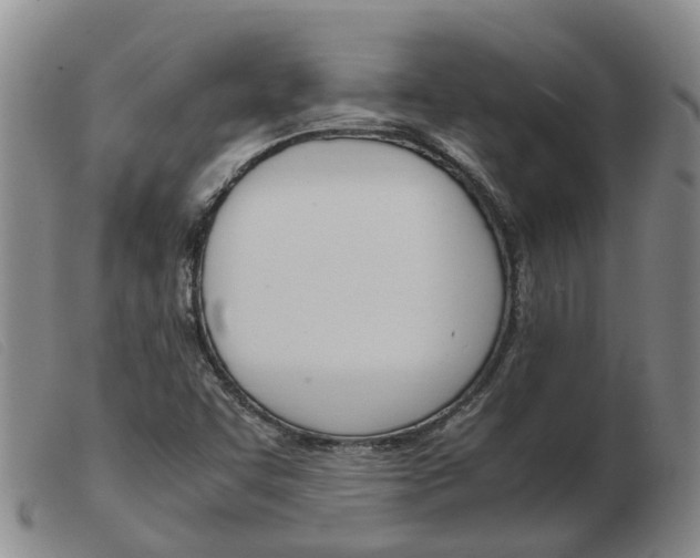 X0000103941455200809191136