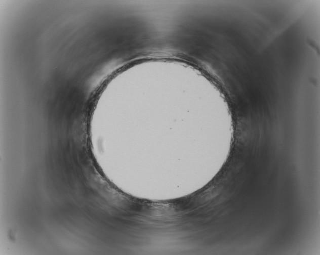 X0000103941456200809191136