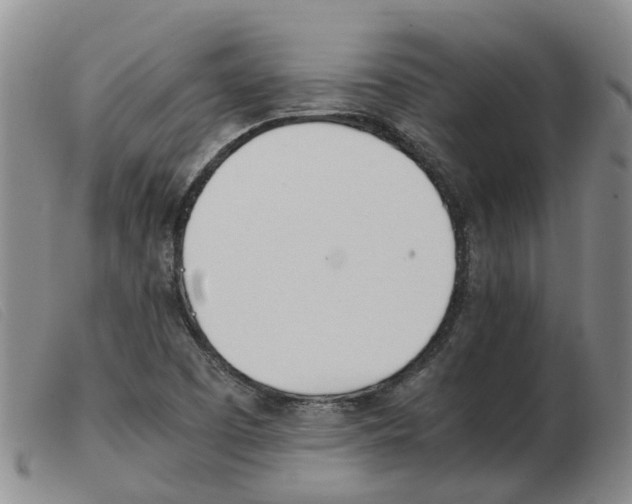 X0000103941457200809191136