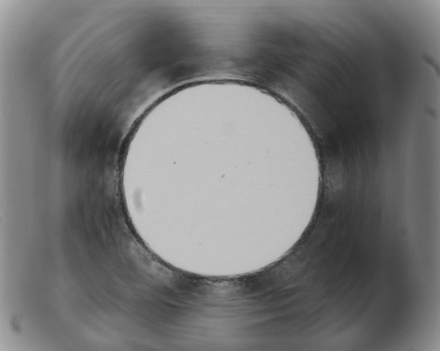 X0000103941460200809191136