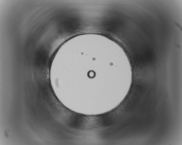 X0000103941461200809191136