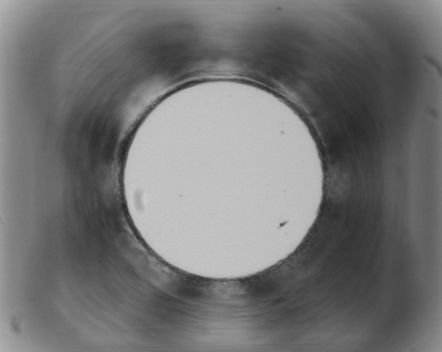 X0000103941464200809191136