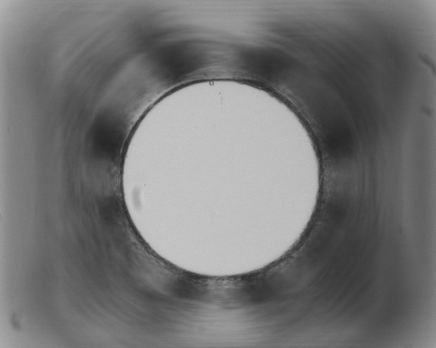 X0000103941465200809191136