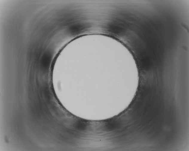X0000103941469200809191136
