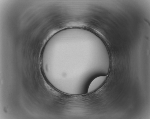 X0000103941471200809191136